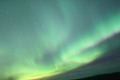 Reykjavik: cruzeiro combinado para observação de baleias e aurora borealDe Reykjavík: combinação de observação de baleias e aurora boreal