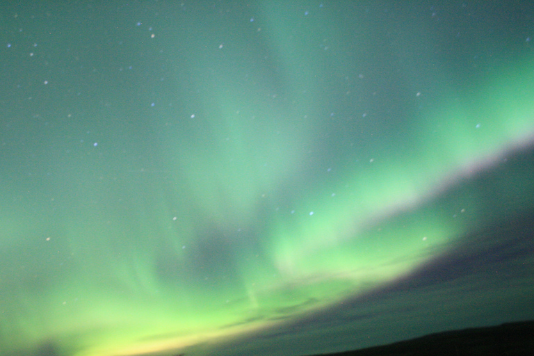 Desde Reikiavik: avistamiento de ballenas y aurora boreal