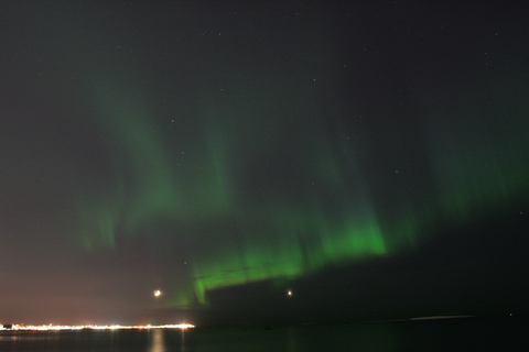 Desde Reikiavik: avistamiento de ballenas y aurora boreal