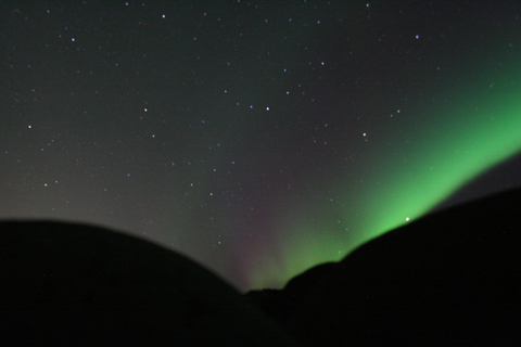 Reykjavik: cruzeiro combinado para observação de baleias e aurora borealDe Reykjavík: combinação de observação de baleias e aurora boreal