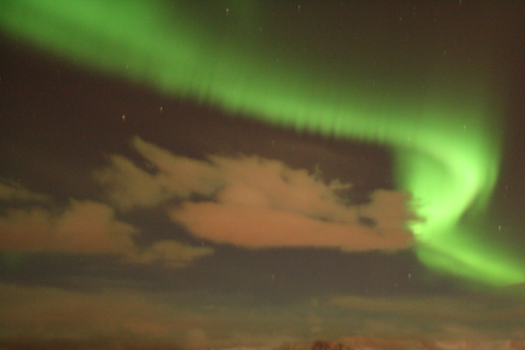 Desde Reikiavik: avistamiento de ballenas y aurora boreal