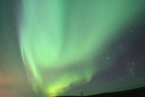 Desde Reikiavik: avistamiento de ballenas y aurora boreal