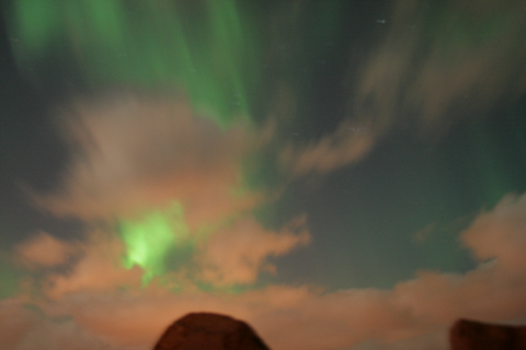 Reykjavik: cruzeiro combinado para observação de baleias e aurora borealDe Reykjavík: combinação de observação de baleias e aurora boreal