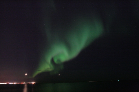 Desde Reikiavik: avistamiento de ballenas y aurora boreal