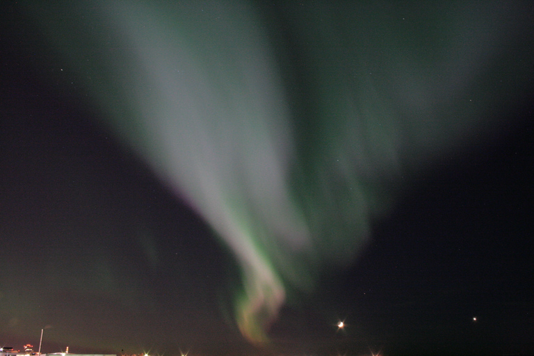 Desde Reikiavik: avistamiento de ballenas y aurora boreal