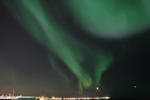 Reykjavik: cruzeiro combinado para observação de baleias e aurora borealDe Reykjavík: combinação de observação de baleias e aurora boreal