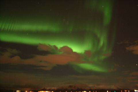 Reykjavik: cruzeiro combinado para observação de baleias e aurora borealDe Reykjavík: combinação de observação de baleias e aurora boreal