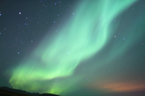 Reykjavik: cruzeiro combinado para observação de baleias e aurora borealDe Reykjavík: combinação de observação de baleias e aurora boreal