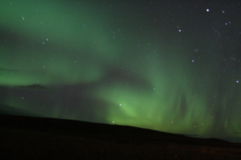 Depuis Reykjavik : croisière découverte des aurores boréales