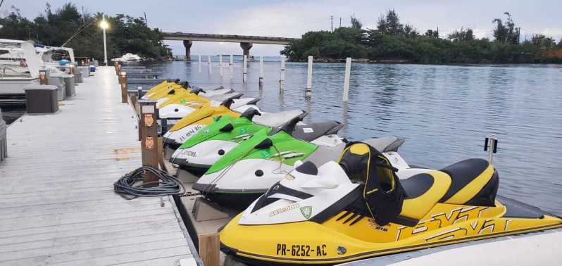 Porto Rico: tour guidato in moto d'acqua della costa orientale a Isla Verde