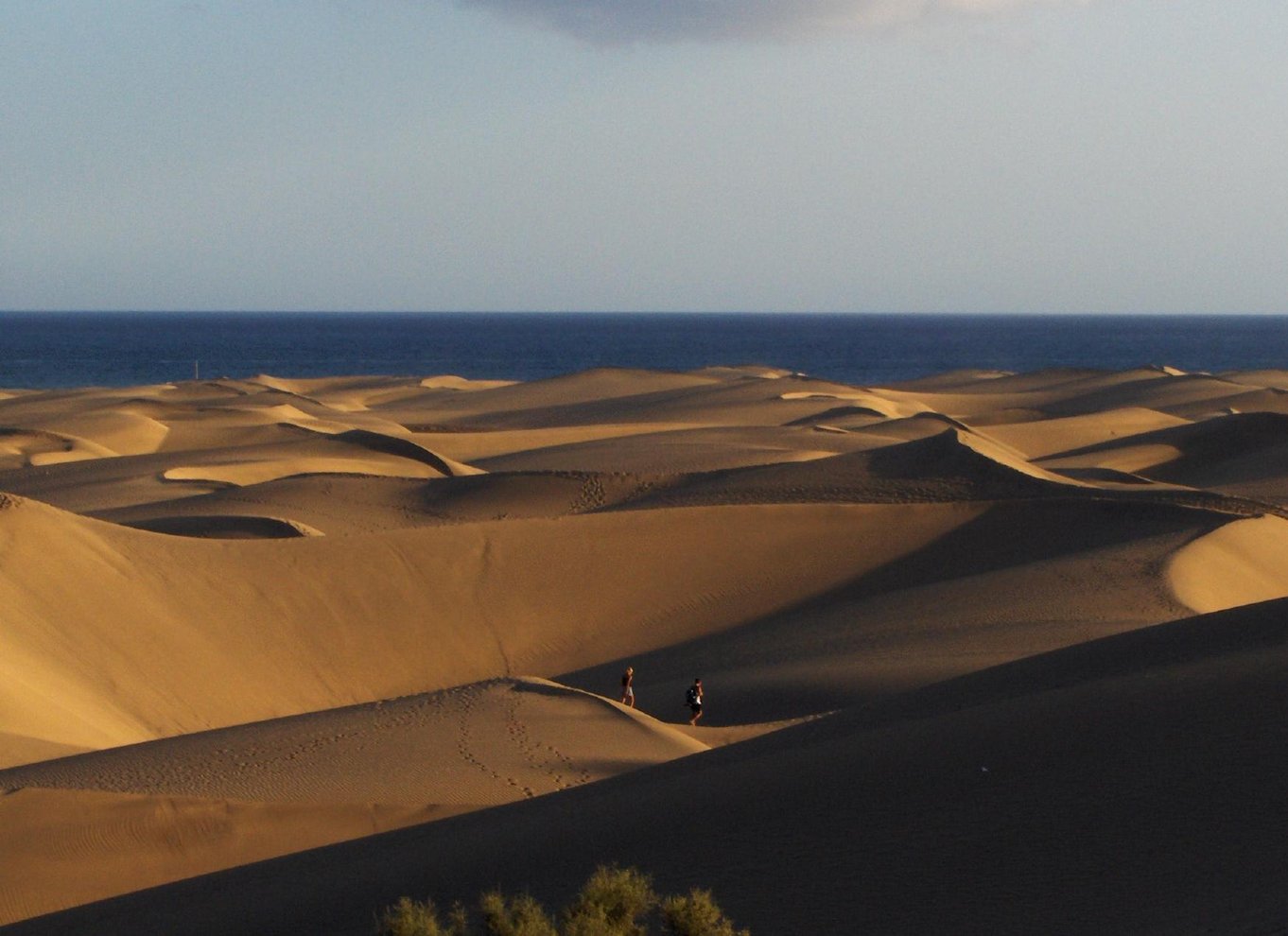 Maspalomas: 1 til 7 dages leje af mountainbike