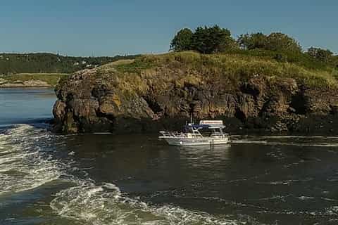Saint John: Reversing Falls Rapids Sightseeing Jet Boat
