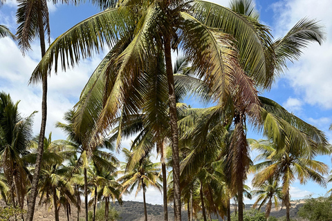 Salalah: Wadi Derbat, Jabal Samhan, & Sink Hole Private Tour