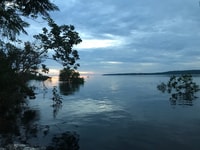 From Manaus, One-Day Amazon Jungle Experience - Housity