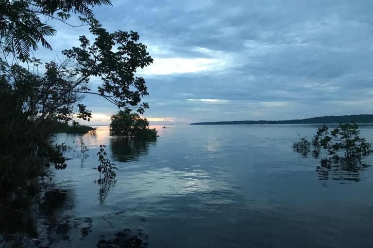 Z Manaus: jednodniowe doświadczenie amazońskiej dżungliZ Manaus: Jednodniowe doświadczenie w dżungli amazońskiej
