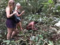 From Manaus, One-Day Amazon Jungle Experience - Housity