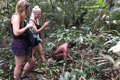Desde Manaus: Experiencia de un día en la selva amazónica