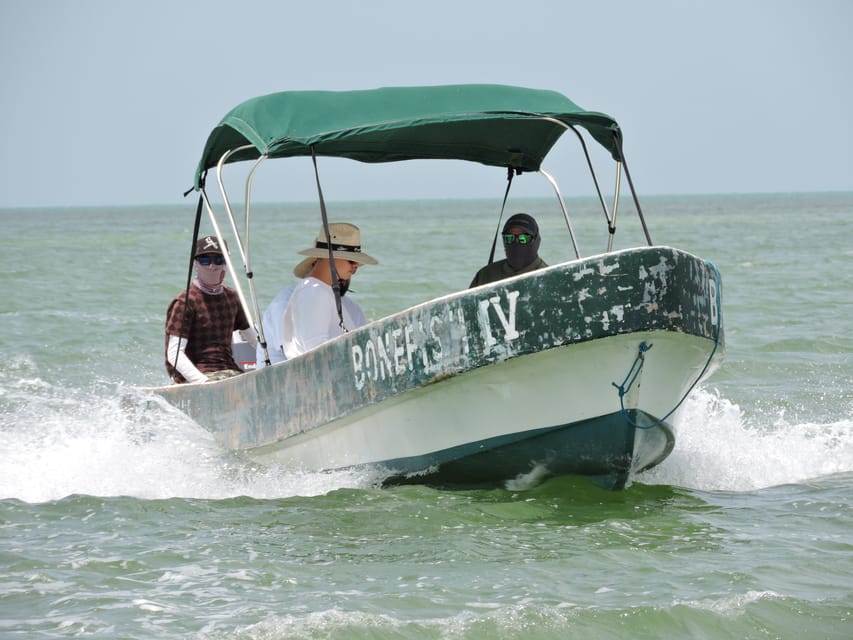 Cancun: Barracuda Fishing Experience