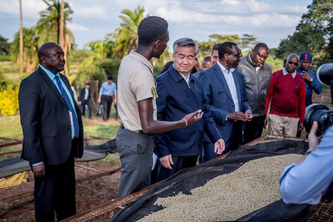 TOUR GIORNALIERO DELLA FATTORIA DEL CAFFÈ FAIRVIEW