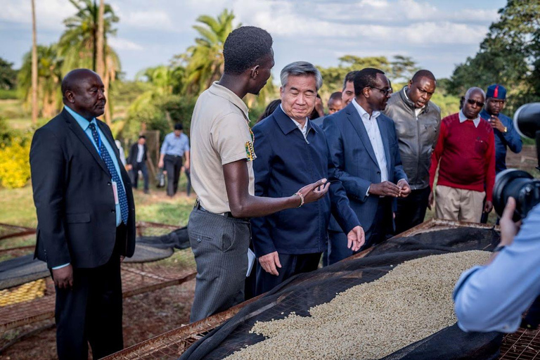 TOUR GIORNALIERO DELLA FATTORIA DEL CAFFÈ FAIRVIEW