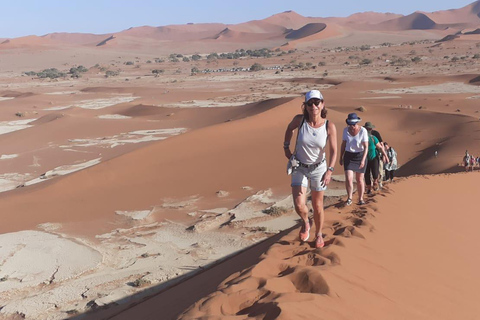 10 Days Taste of Namibia | Auto Tour Camping