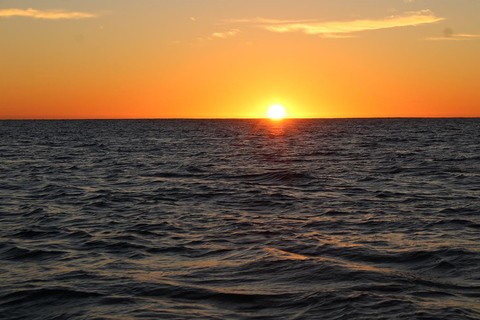 圣何塞卡波观鲸日出之旅