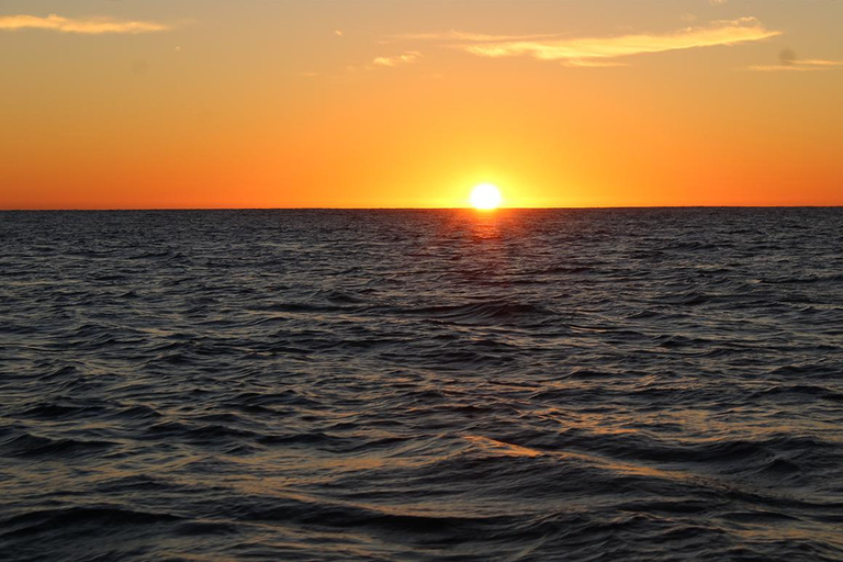 圣何塞卡波观鲸日出之旅