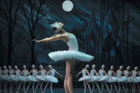 St. Petersburg: Swan Lake Ballet Admission Ticket