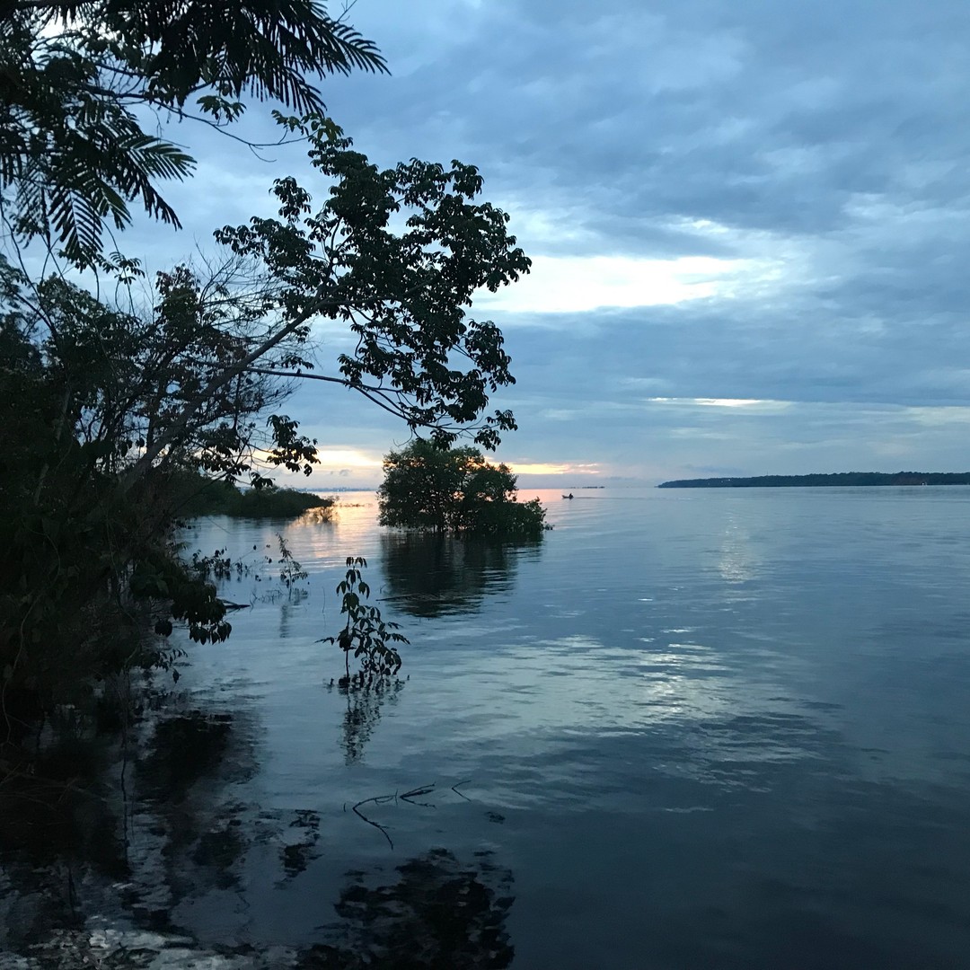 Manaus: 2-Day River Tour With Overnight Stay | GetYourGuide