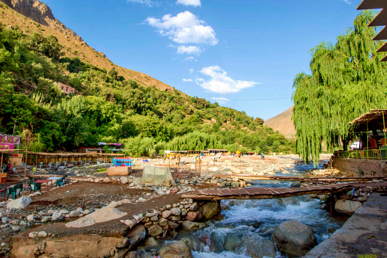 Desde Marrakech: Valle Ourika y paseo camello al atardecer