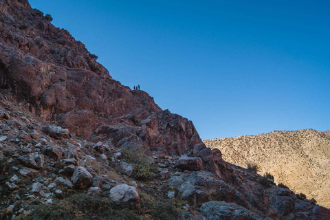 Desde Marrakech: Valle Ourika y paseo camello al atardecer