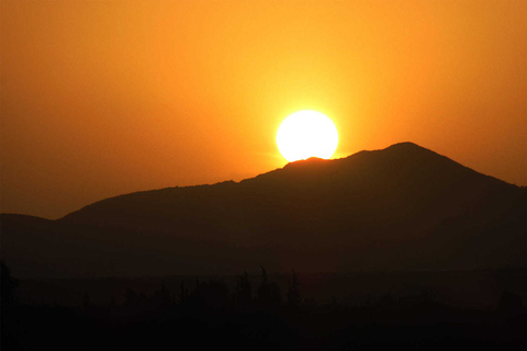 Giro in cammello al tramonto nel palmerai di MarrakeshGiro in cammello al tramonto a Palmerai