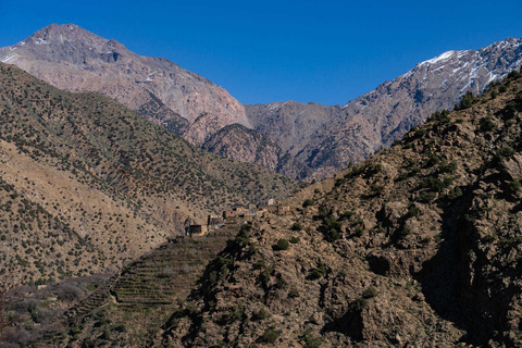 Desde Marrakech: Valle Ourika y paseo camello al atardecer