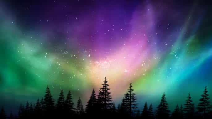 northern light tour with hot chocolate cinnamon buns