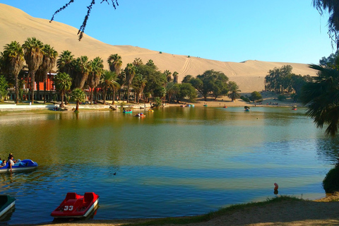 Da Lima: Tour dell&#039;oasi di Huacachina, cantina e tramonto nel desertoDa Lima: tour dell&#039;oasi di Huacachina, cantina e tramonto nel deserto