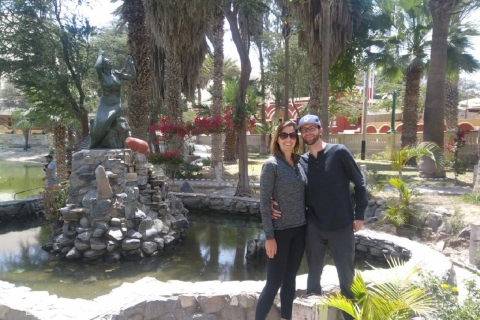 Von Lima: Ica Winery und Huacachina Oasis Tour
