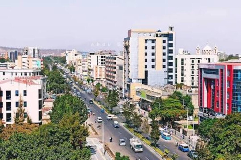 From Addis Ababa: Adama Coffee Culture & Roastery Tour