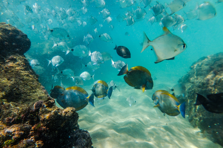 Desde Santa Lucía Safari de snorkel de un día en Cabo Vidal