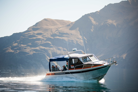 Wanaka: Excursión en taxi acuático y por la isla de Mou WahoOpción Estándar