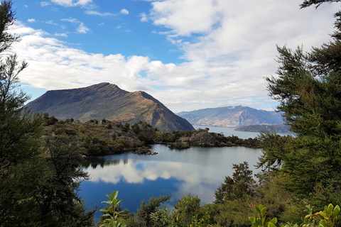 Wanaka: Excursión en taxi acuático y por la isla de Mou WahoOpción Estándar