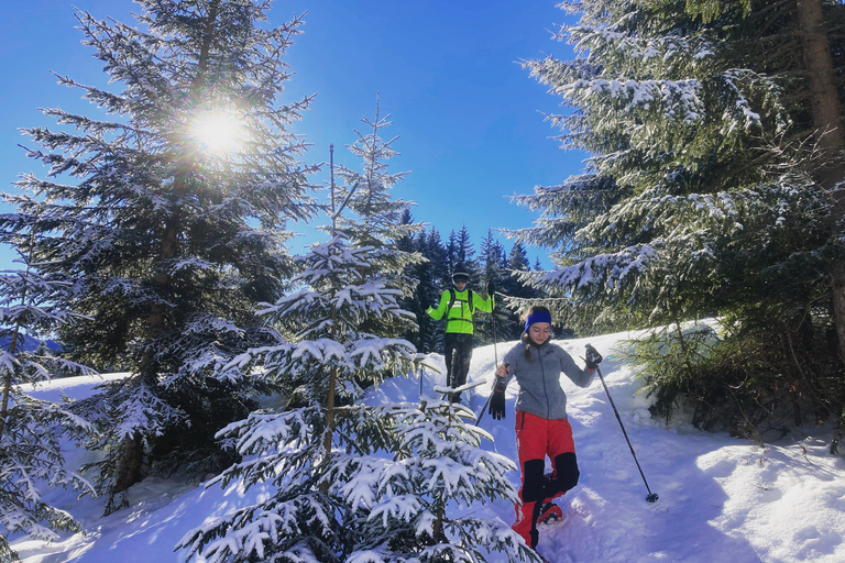 Snöskovandring med Freeride Airboard