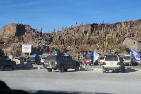 Uyuni: tour delle saline di un&#039;intera giornata