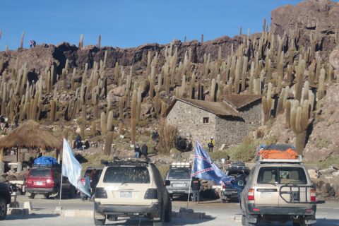 Uyuni: visite d'une journée dans les plaines salées