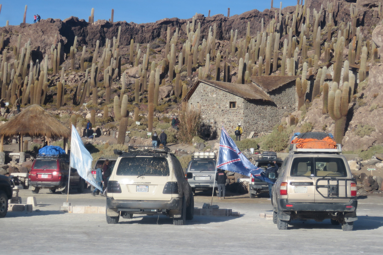 Uyuni: Ganztägige Salzsee-Tour