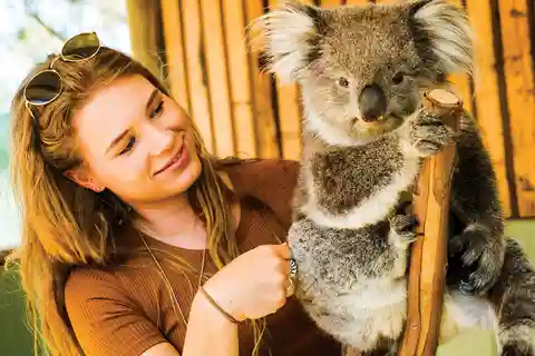 Ingresso para o Moonlit Sanctuary Conservation Park