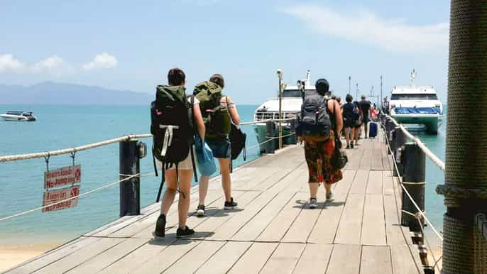from phi phi transfer to surat thani tapee pier