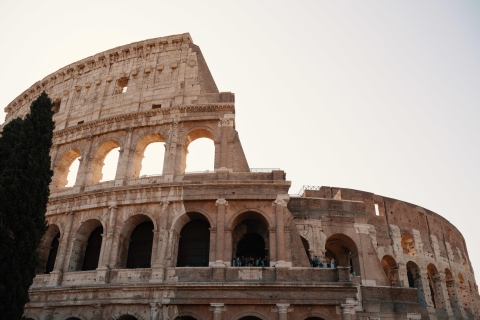 Roma: tour guiado subterráneo de 3,5 horas por el ColiseoRoma: tour guiado de 3,5 horas por el Coliseo y el Foro - Privado