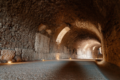 Rome: Colosseum Underground 3,5 uur durende rondleidingRome: Colosseum en Forum 3,5 uur durende rondleiding - privé