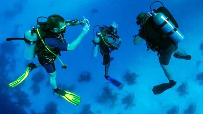 from bodrum scuba diving in the aegean sea