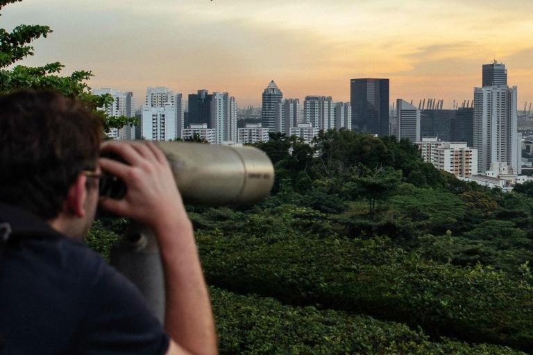 Singapour: visite privée de 7 heures avec une couverture complète avec un local